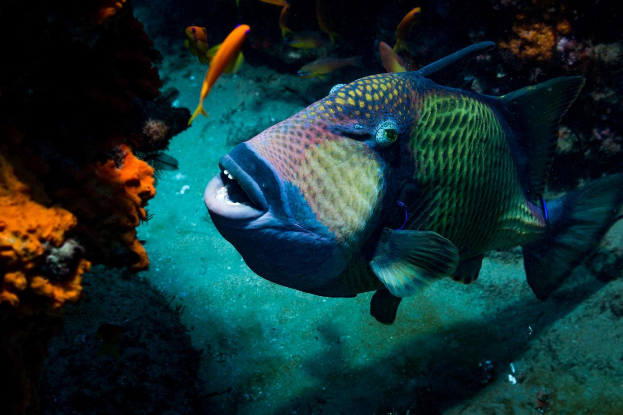 Sodwana Bay Lodge Dive & Fishing Resort المظهر الخارجي الصورة