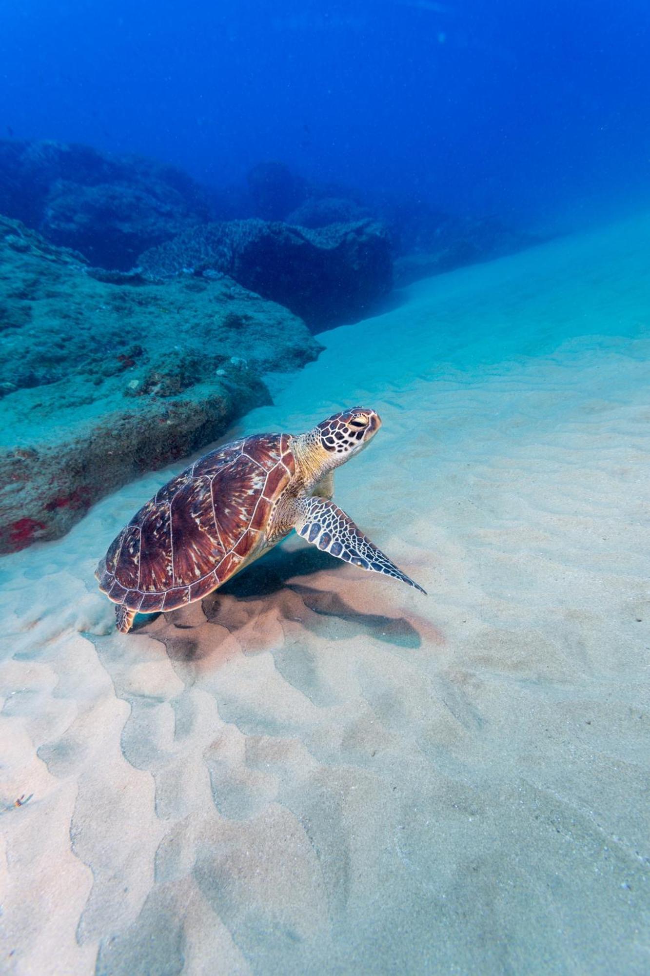 Sodwana Bay Lodge Dive & Fishing Resort المظهر الخارجي الصورة