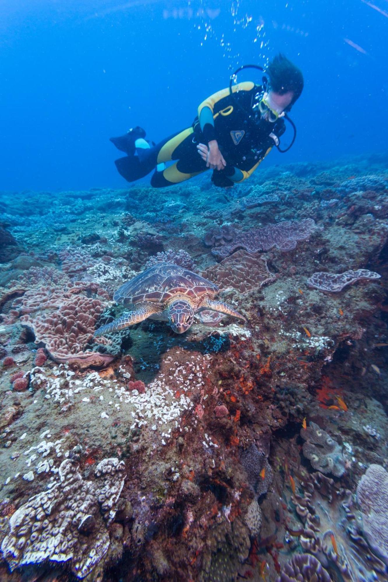 Sodwana Bay Lodge Dive & Fishing Resort المظهر الخارجي الصورة